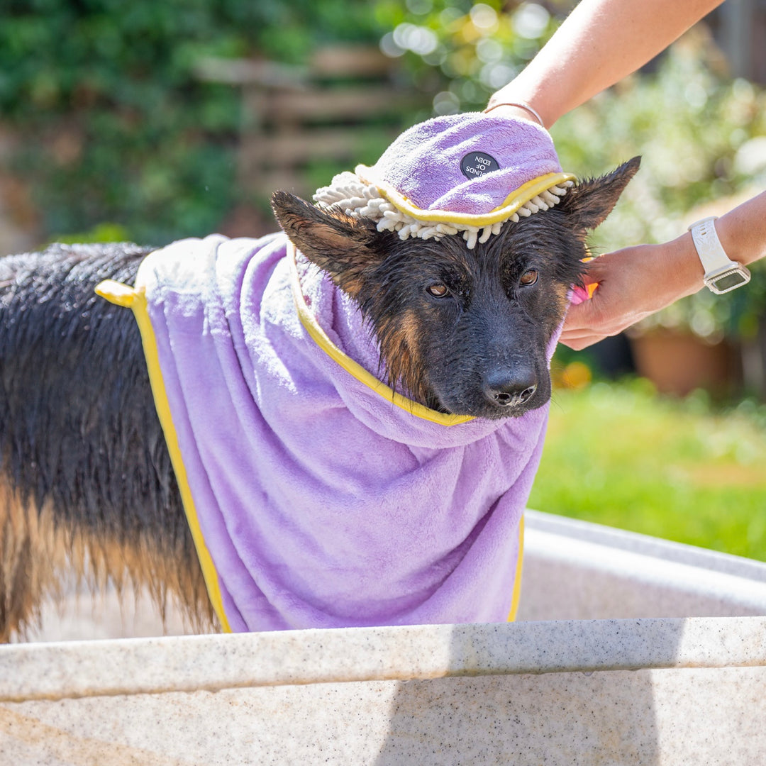 Dog Towels