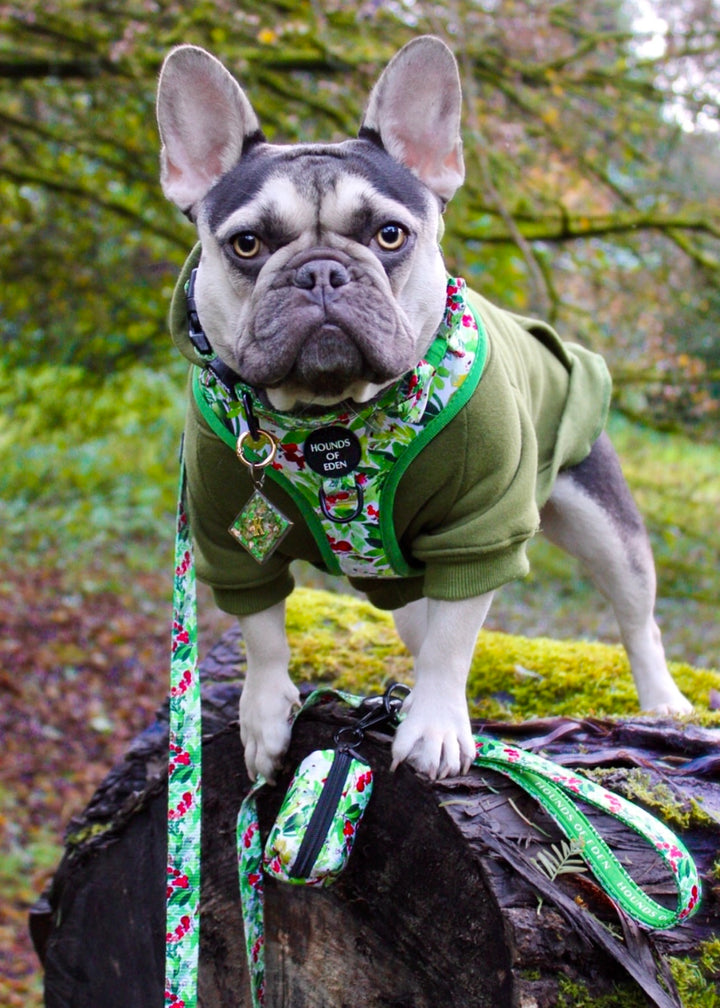 Arnés para perros con diseño de abeto y bayas de invierno 