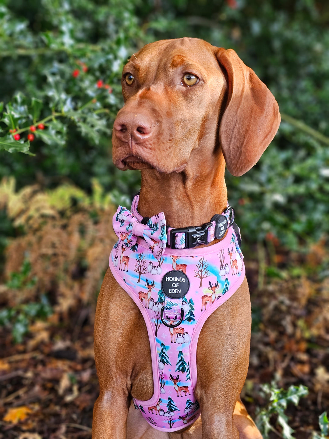 Aurora Nights - Pink Penguin Design Dog Bow Tie