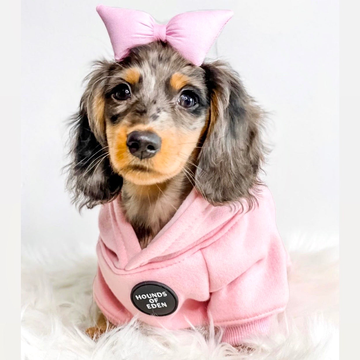 Dog Hoodie Light Pink