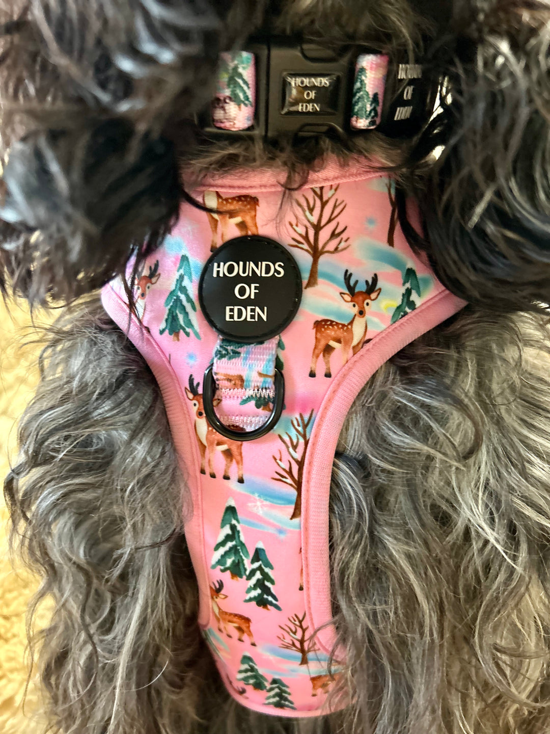 Aurora Nights - Arnés para perros con diseño de pingüino rosa 