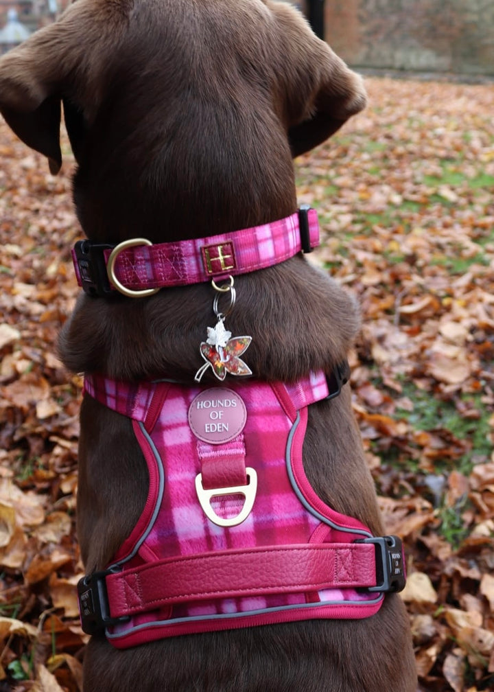 Rose Berry Plaid - Supaw Strong™ Lite Dog Harness (XS-XL)