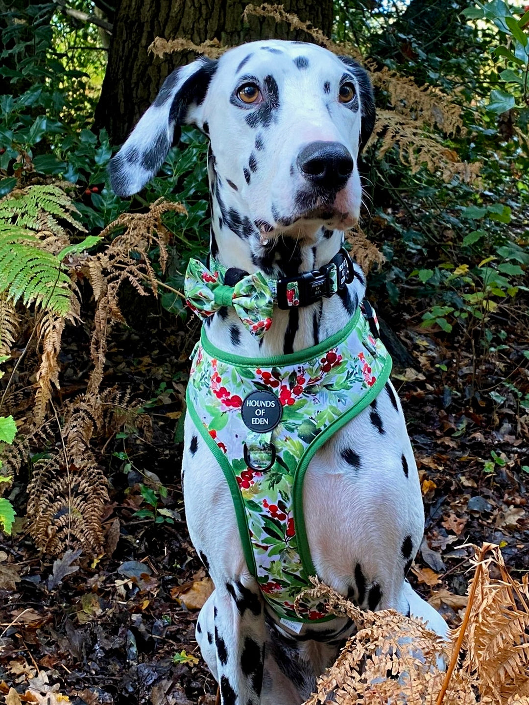 Collar para perro con diseño de abeto y bayas de invierno