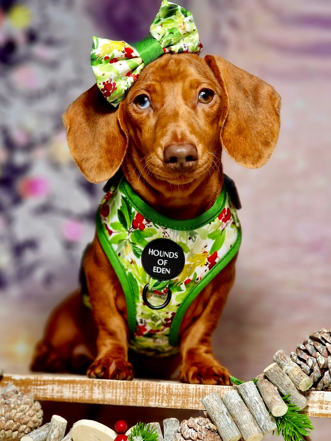 Pajarita para perro con diseño de abeto y bayas de invierno