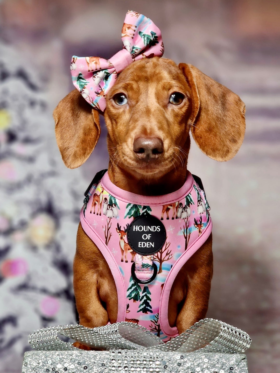 Aurora Nights - Pink Penguin Design Dog Collar