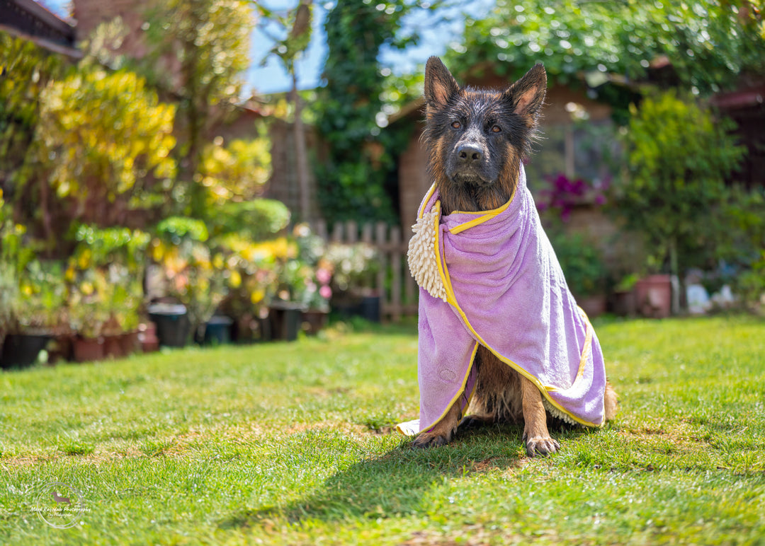 Wild Blossom - Dog Towel + Carry Bag