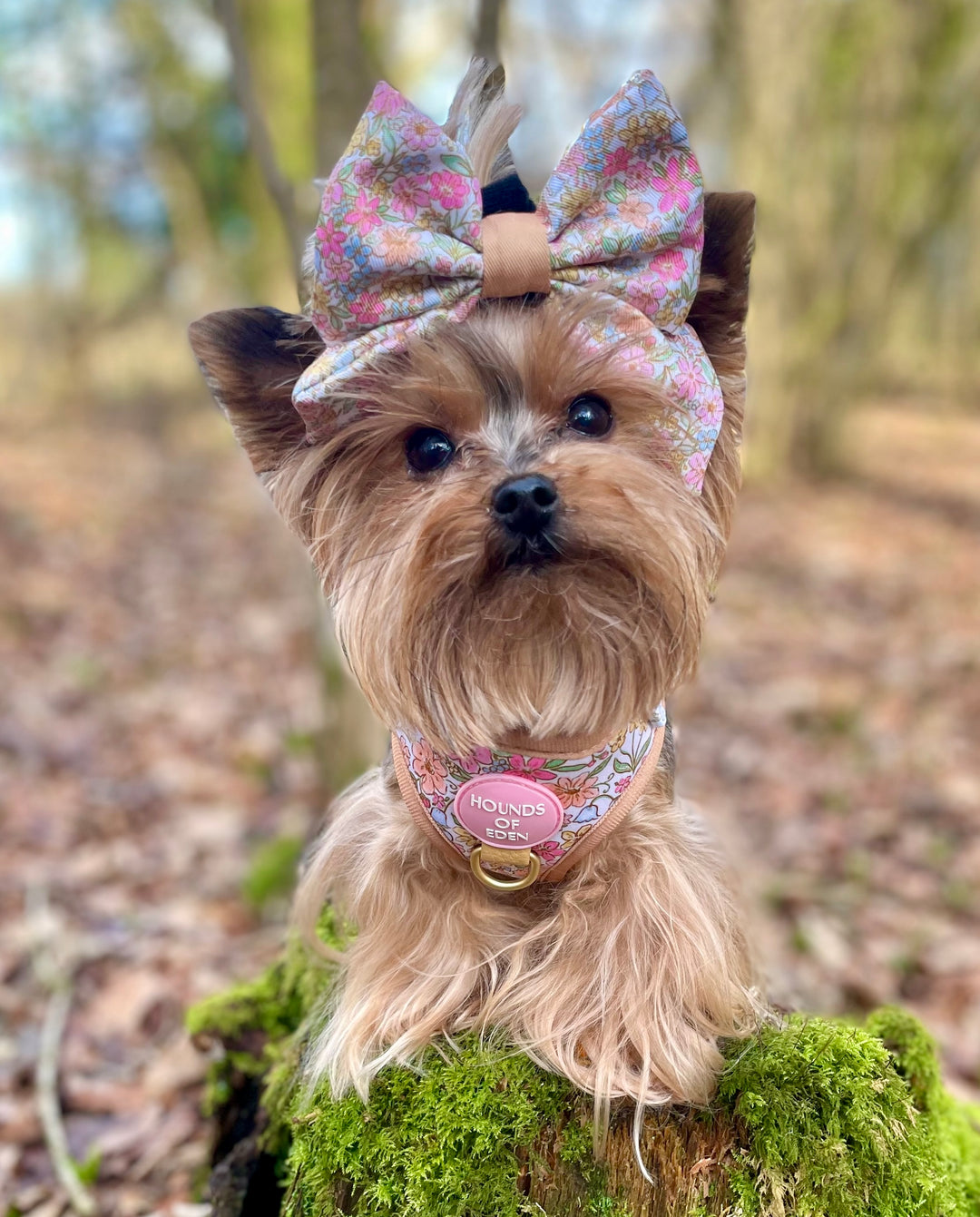 Pastel Petals - Dog Sailor Bow Tie