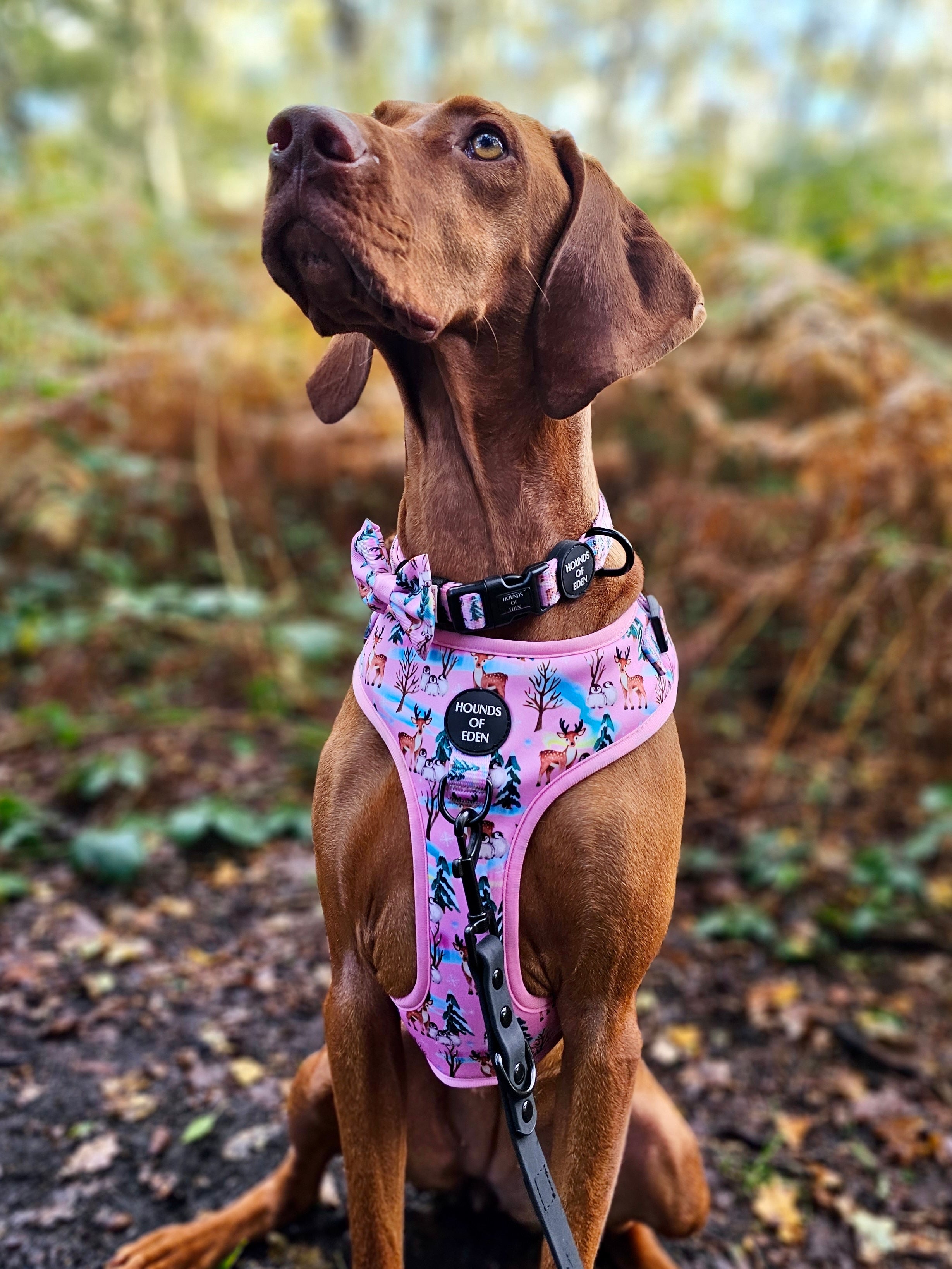 Aurora Nights Pink Penguin Design Dog Harness