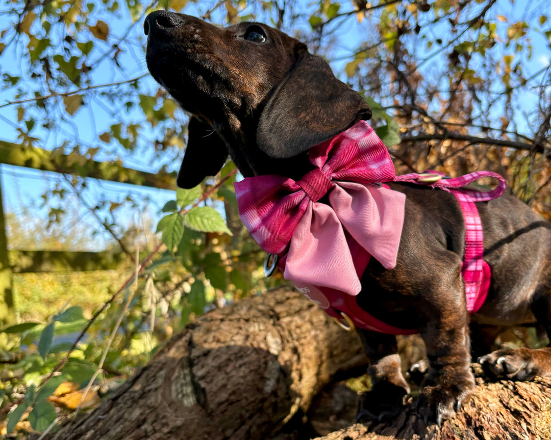 Rose Berry Plaid Sailor Bow Tie