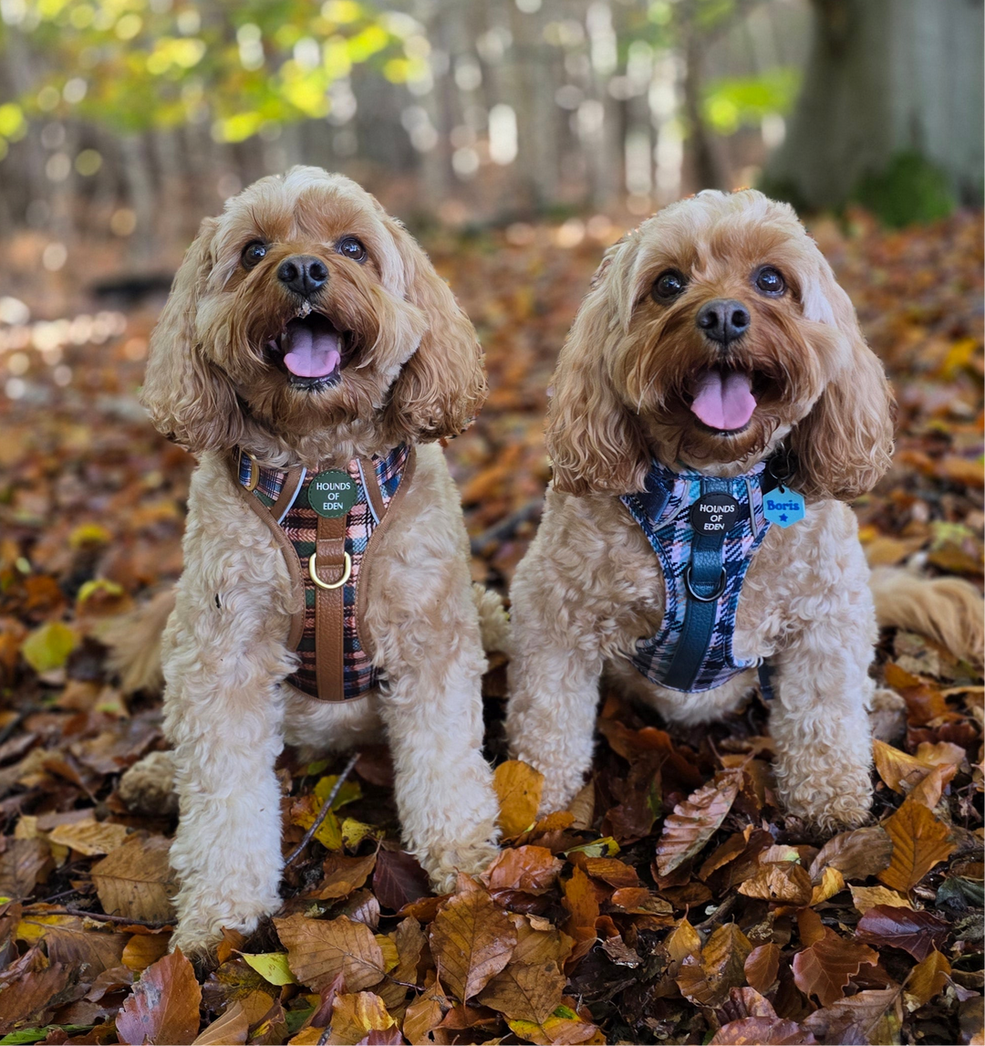 Oak Forest Plaid Supaw Strong Lite™ Dog Harness (XS-XL)