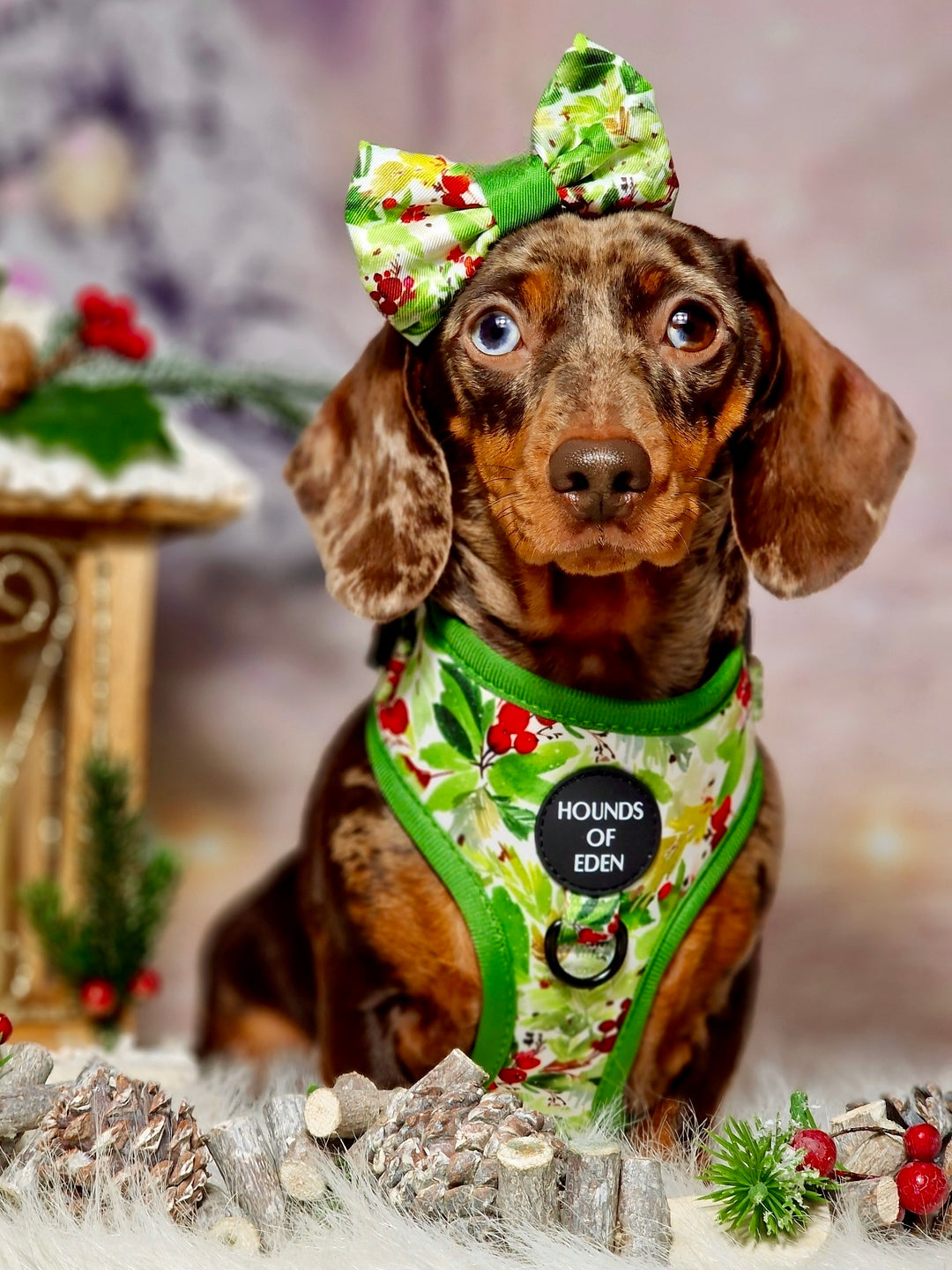 Pajarita para perro con diseño de abeto y bayas de invierno