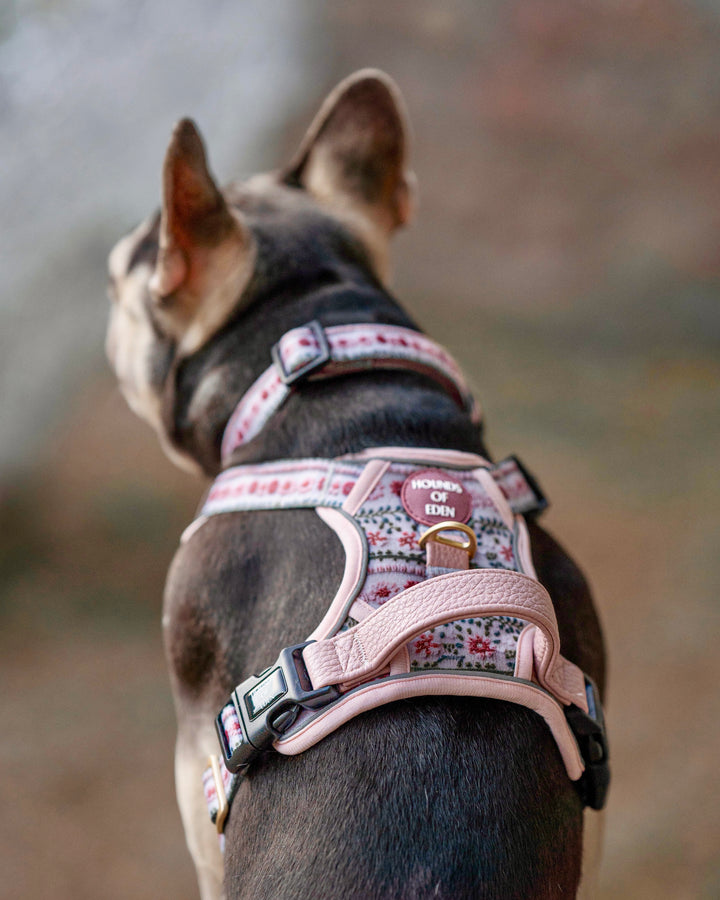 Bella's Jumper Supaw Strong Lite™ Dog Harness (XS-XL)