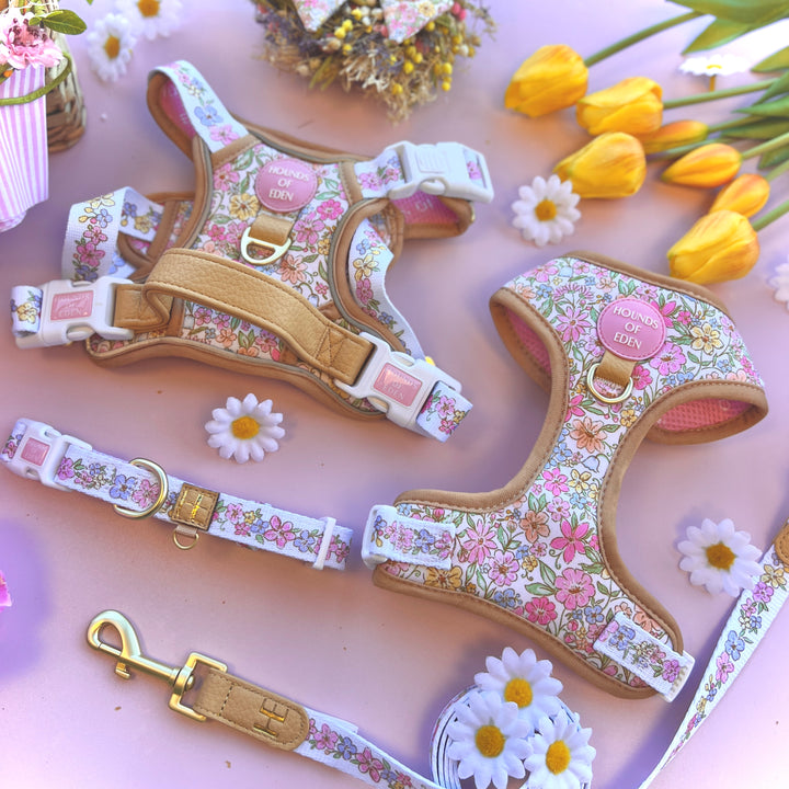 Pastel Petals - Dog Collar + ID Tag Holder