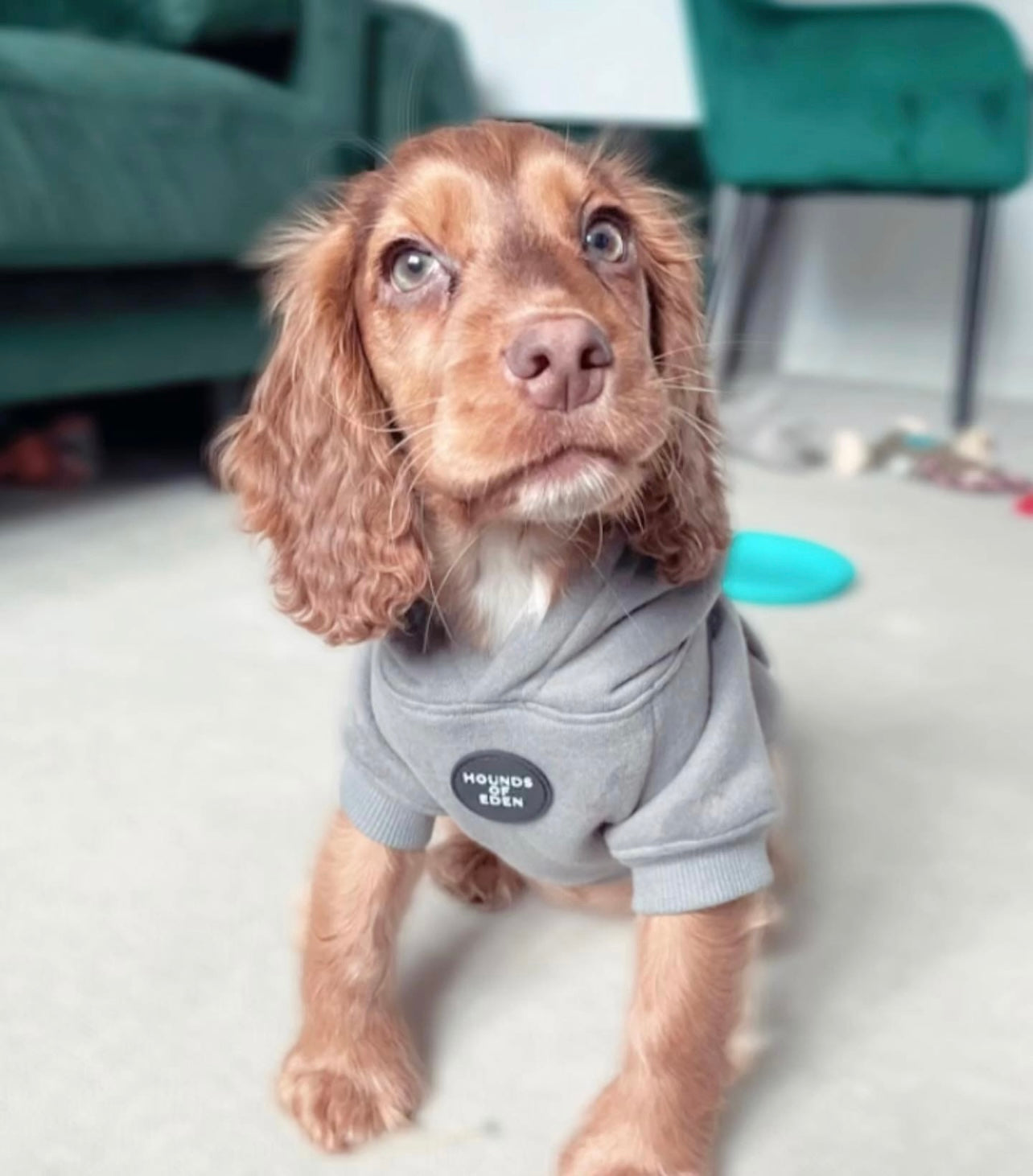 Sudaderas de animales sale