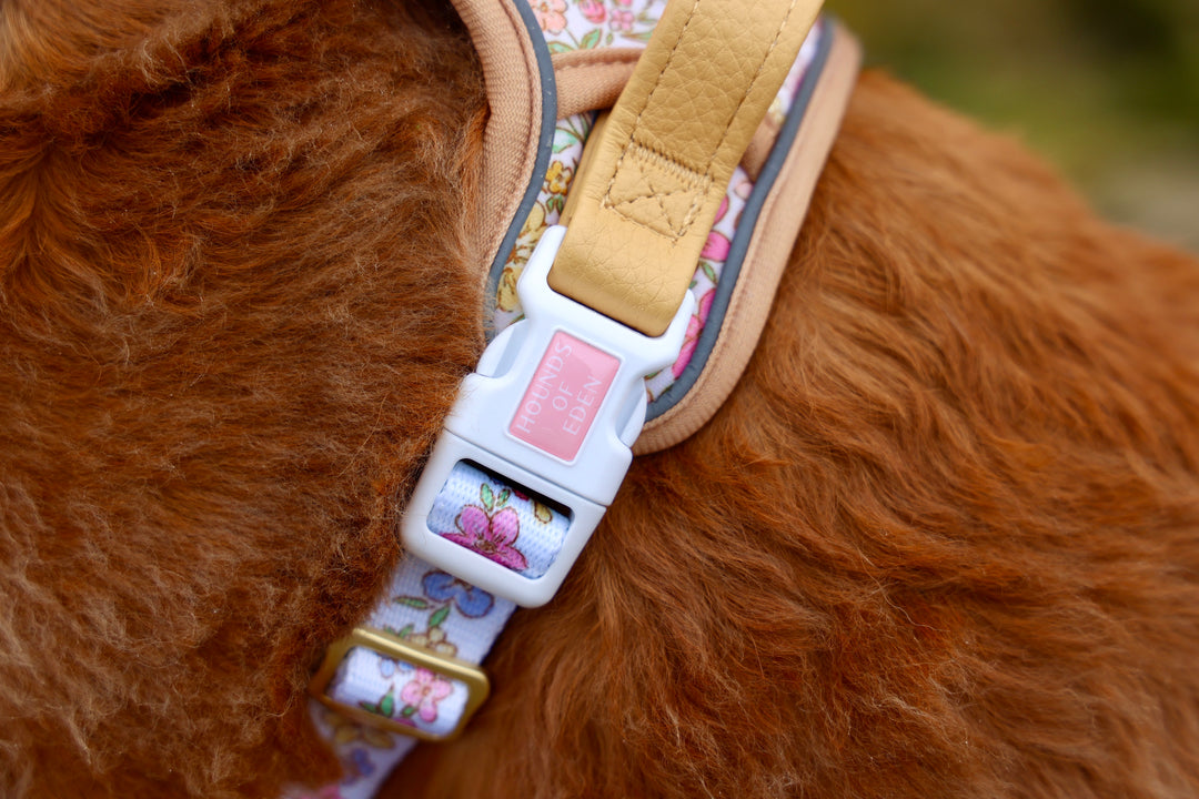 Pastel Petals - Dog Collar + ID Tag Holder