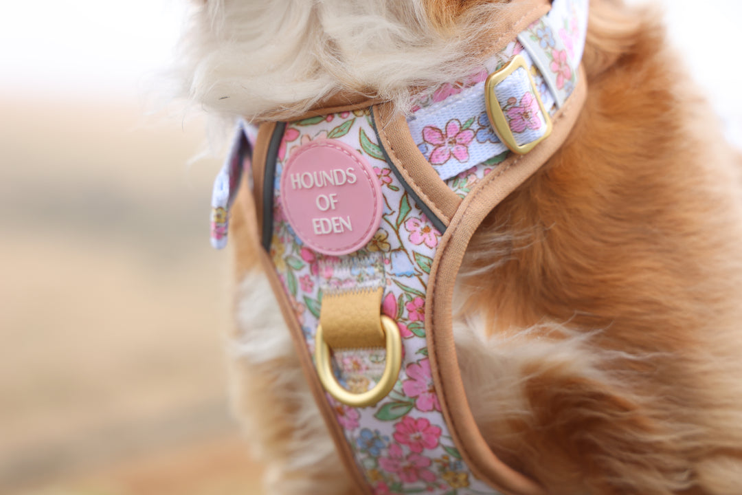 Pastel Petals - Leather Dog Lead