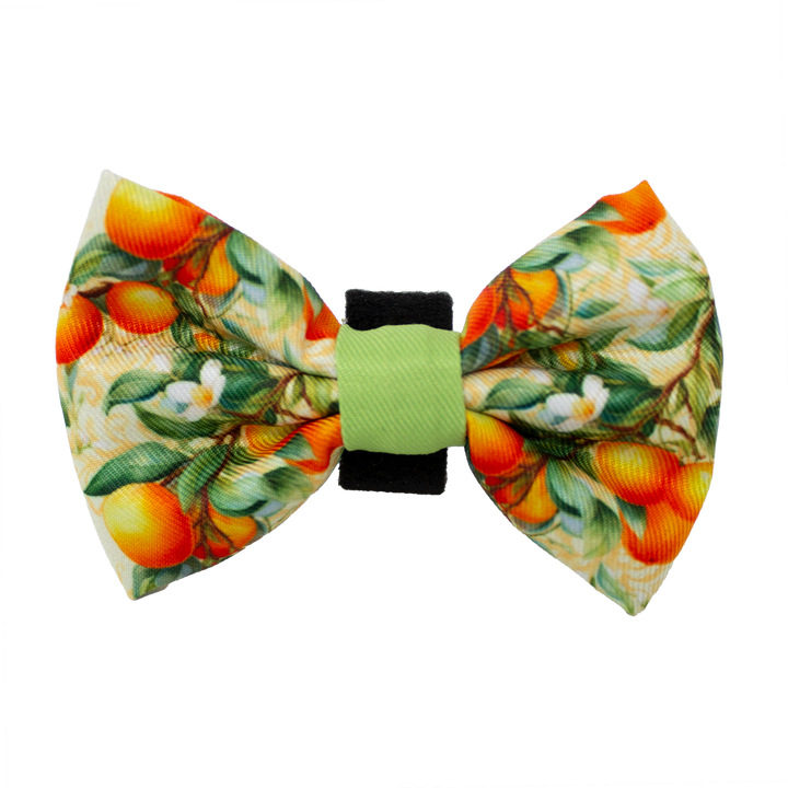 Simply the Zest - Oranges Dog Bow Tie