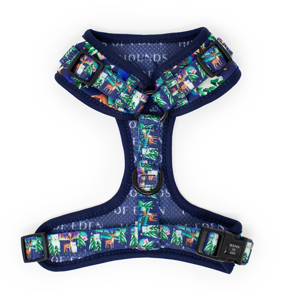 Polar Lights - Navy Polar Bear Design Dog Harness