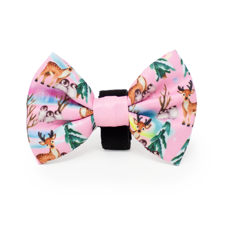 Aurora Nights - Pink Penguin Design Dog Collar