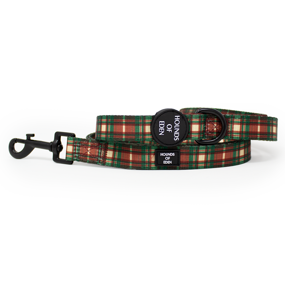 Plaid puppy collar best sale