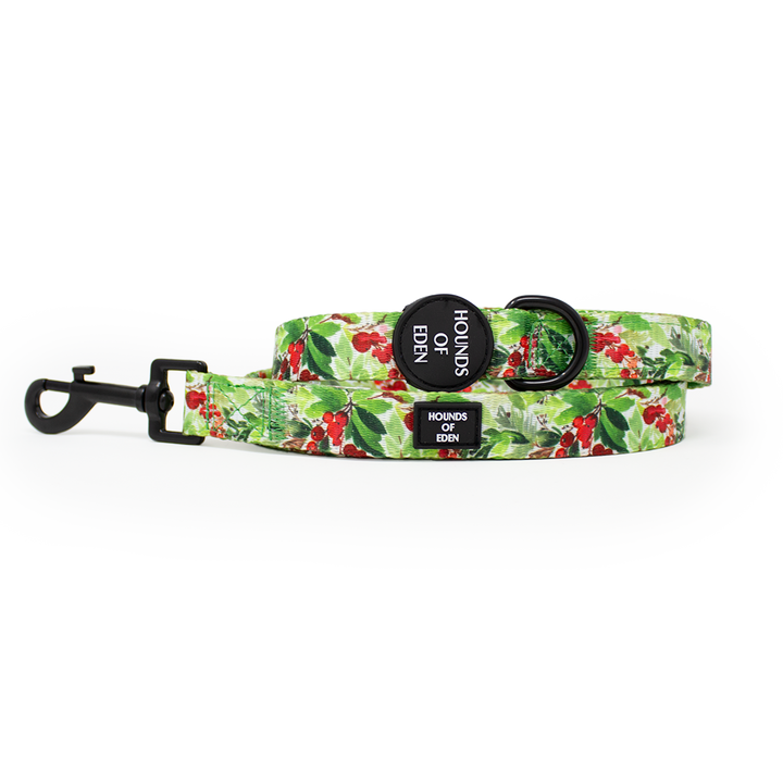 Winter Spruce & Berries Design Dog Collar