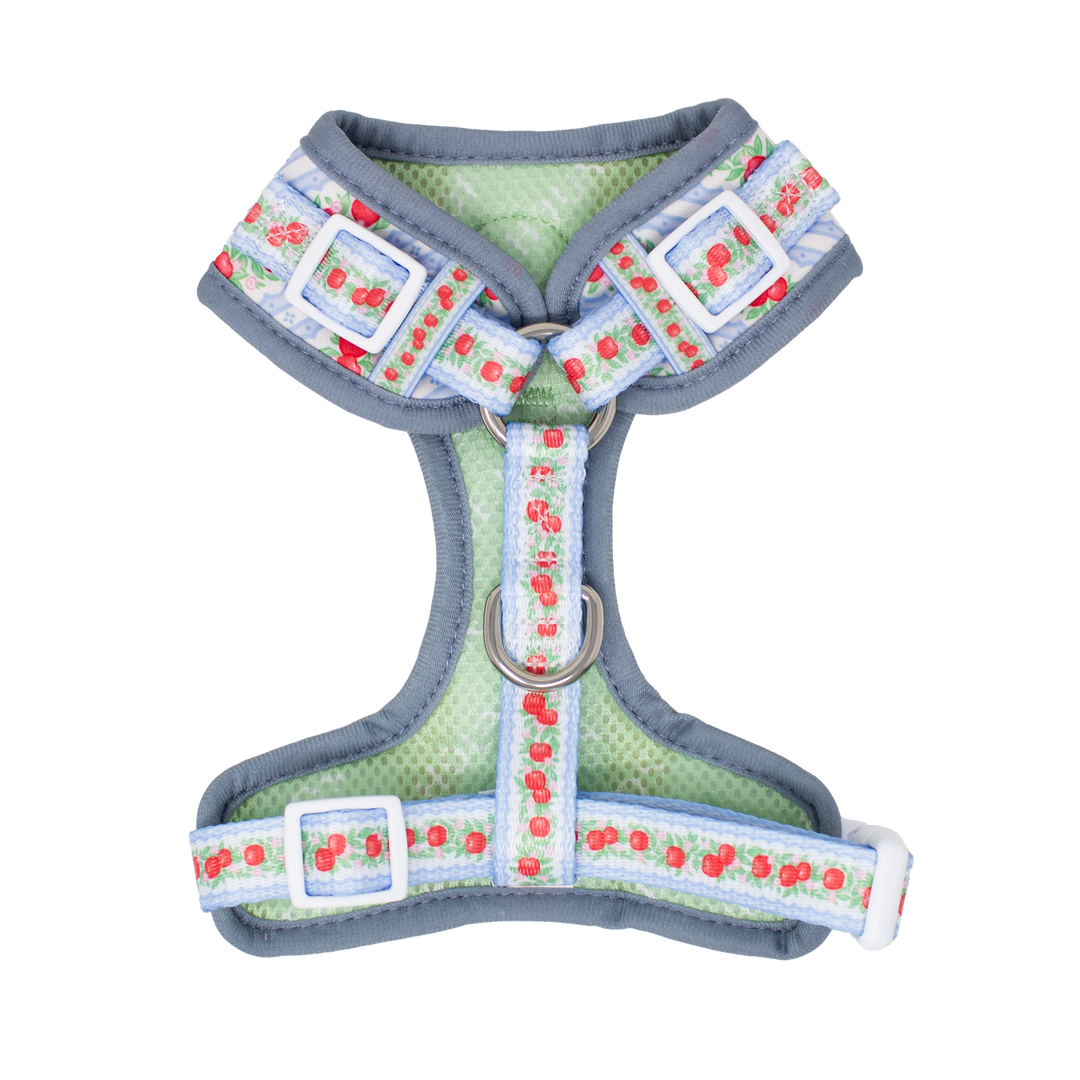 Eden's Orchard - Adjustable Dog Harness (XXS-XS)