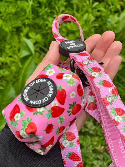 Strawberry Harness, Dog Collar & Leash Set | Personalized Free