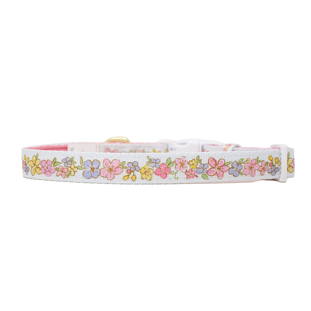 Pastel Petals - Dog Collar + ID Tag Holder