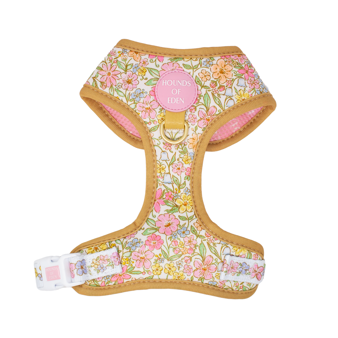 Pastel Petals - Dog Harness (XXS-XS)