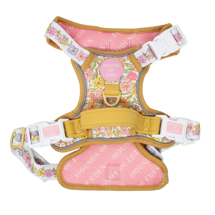 Pastel Petals - Dog Collar + ID Tag Holder