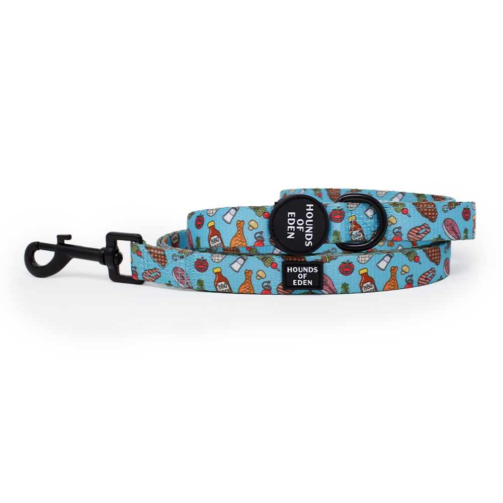 Hounds of eden dog collars best sale