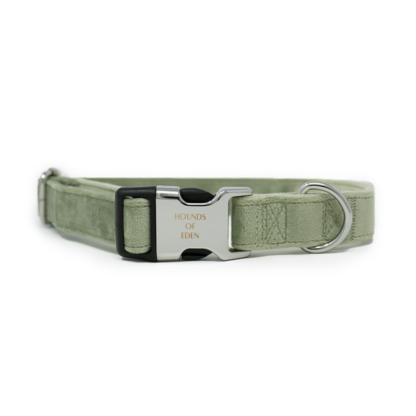 Henri bendel dog clearance collar