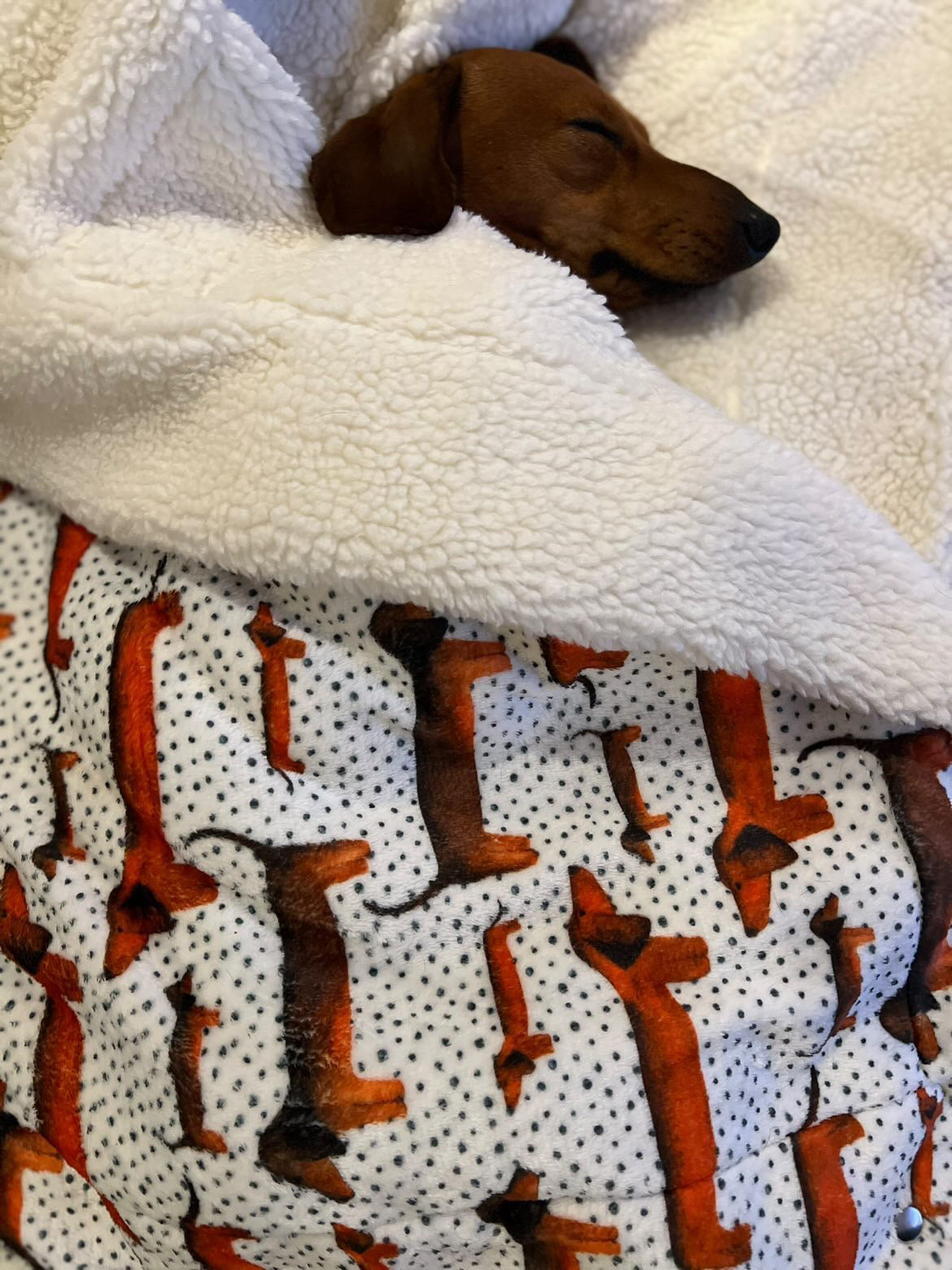 Sizzlin Sausages Dog Snuggle Blanket