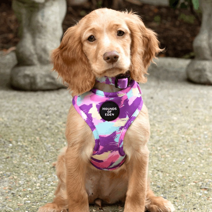 Purple camo dog harness best sale